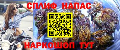 ALPHA PVP Заволжье