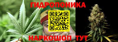 ALPHA PVP Заволжье