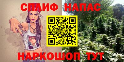 spice Заводоуковск